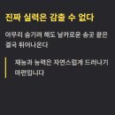 낭중지추 | 낭중지추 뜻 알아보기