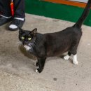 신촌식당 이미지