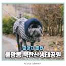 강아지산책 | 은평구 불광동 북한산생태공원 주차정보 및 강아지산책 후기