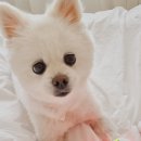 제이엘엠코리아 이미지