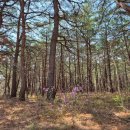 마망펜션 이미지