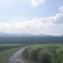 애월의언덕 민박 이미지