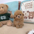 강아지분양 꽃강아지 중랑점 이미지