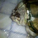 마들역(7호선) 이미지