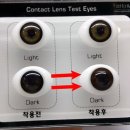 자몽 안경원 이미지