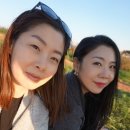 석양두리