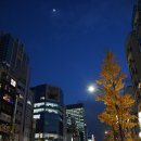 도쿄 - 천안시 서북구 성정공원5로 10-9 | 도쿄