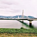 낙동강변3 이미지