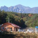 박종애농장 이미지