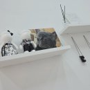 반짝일개 이미지