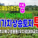 우치농장 이미지