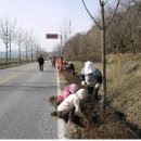 마리면사무소 이미지