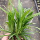 새순농장 이미지