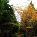 솔오름주차장 이미지