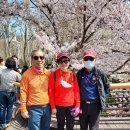 수만리염소탕 이미지