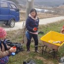 김현숙농장 이미지