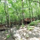 거제자연휴양림 이미지