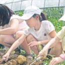 원평팜스테이마을 이미지