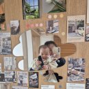 별이빛나는집 이미지