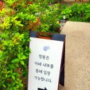 나주 글램핑 어스 | 나주 마중3917 : 전통감성 가득한 야외정원, 나주 배 음료와 디저트가 맛있는 카페 추천