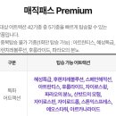포스탠다드 | 주말 롯데월드 매직패스 프리미엄 스탠다드B 후기