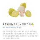 최성은산부인과 네이버블로그