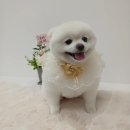 몽앤쥬 네이버블로그