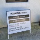 부경목장 | 경북 상주 아이와 가볼 만한 모동 목장, 양 먹이 체험 가능한 대형 목장