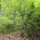 무무호텔 이미지