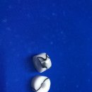 큐하우스 이미지