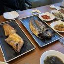 따밥은지