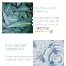 휘겔리 네이버블로그