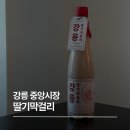 빛중앙14로 | 강릉 중앙시장 딸기 막걸리 후기, 딸기모찌 집에서 구매한 핑크빛 딸기 막걸리!