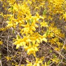 검바위약수터 이미지