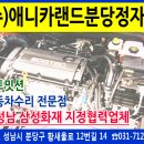 애니카랜드분당 이미지