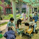 난향동-9 이미지