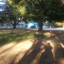 문화공간 가꾸기 이미지