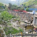 천태산 오토캠핑장 이미지