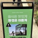 서울중랑유린지역자활센터 | [알바] 중랑 서울장미축제 알바후기
