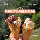 MILK | [영국] 에든버러 젤라또 맛집 Mary’s Milk Bar 메뉴 추천 &amp; 웨이팅 후기