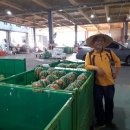 수박 당구장 이미지