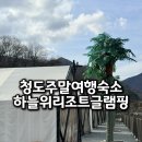 경상북도 청도학생수련원 | 청도주말여행숙소 추천 초등학생 아이와 가기 좋은 하늘위리조트 글램핑