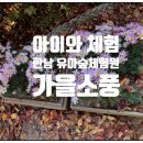 한남 유아숲체험원 이미지