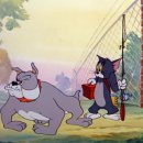 톰과제리 이미지