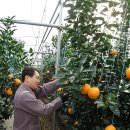 성제농장 이미지