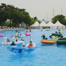 강북구 I.F.O 내손안에서울