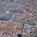 아담농장 이미지