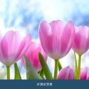 로뎀재활요양원 | 연천요양원 로뎀요양원 선택 시 알아둘 필수 체크포인트