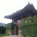 쌍운교 티스토리
