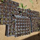 경일비트 이미지